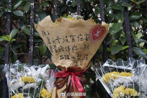 👀掘金记者晒冠军游行约基奇+穆雷合照：刚看到詹姆斯的INS